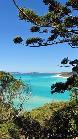 Whitehaven beach and Hill Inlet