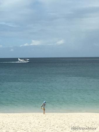 Whitehaven beach. There's a walking trail where you may see goanna lizards and also get a great 