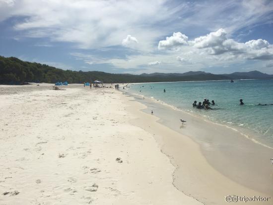 Whitehaven beach. There's a walking trail where you may see goanna lizards and also get a great 