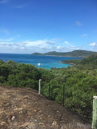 Whitehaven beach. There's a walking trail where you may see goanna lizards and also get a great 