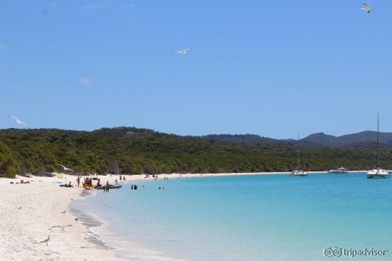 The 7km of beautiful beach