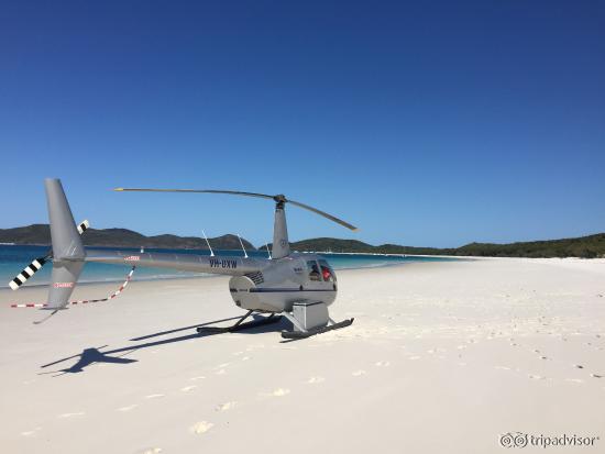 Chopper was flown by a couple having a picnic