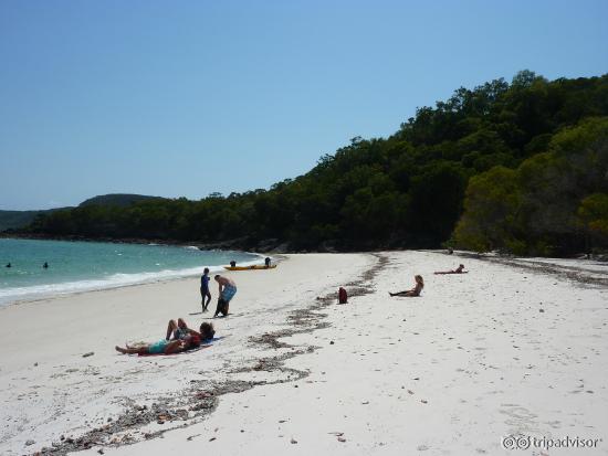 Whitehaven Beach