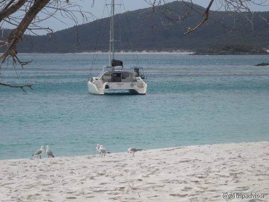 Whitehaven Beach