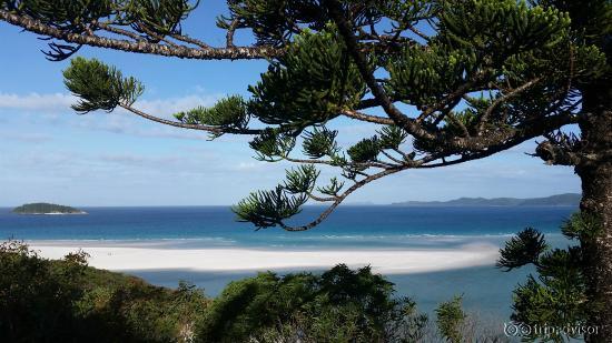 Whitehaven Beach Lookout