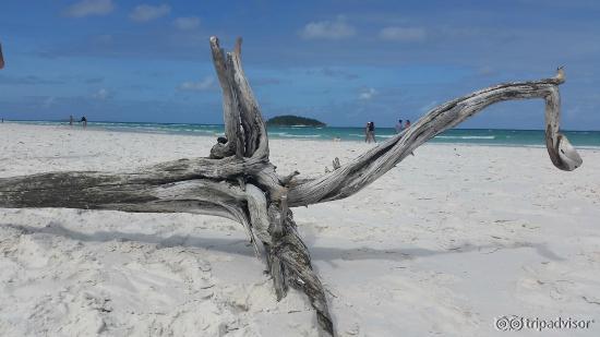 Whitehaven Beach