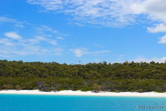 Whitehaven Beach from the Boat