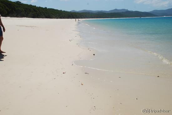 Whitehaven Beach