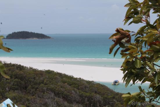 Hill Inlet overlooking Whitehaven Beach
