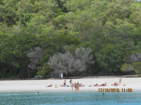 whitehaven beach QLD Australia