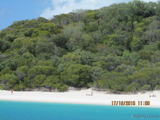 whitehaven beach QLD Australia