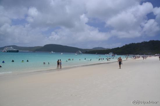 This is as crowded as it gets. The annual Whitehaven Beach Ocean Swim Day