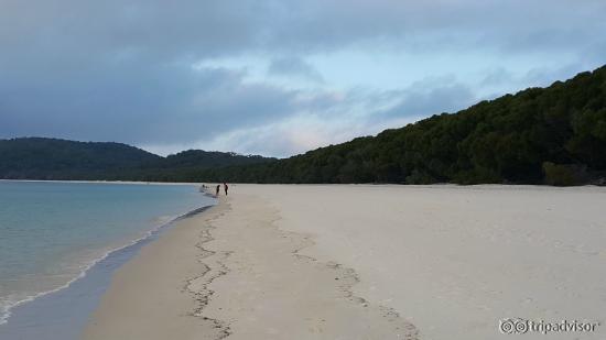 Whitehaven Beach