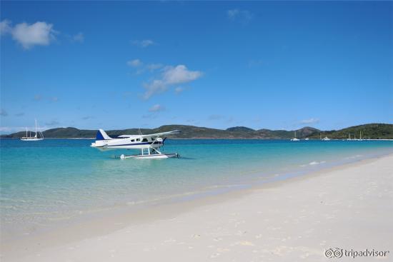 Beach view with seaplane