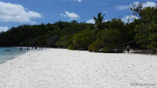 Whitehaven Beach