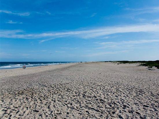                   Assateague Beach
                