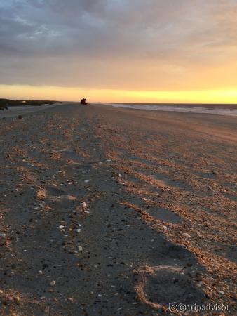 Assateague Beach