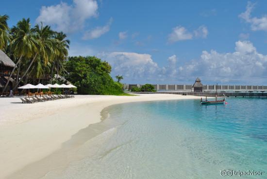 Beach in front of the Beach villa