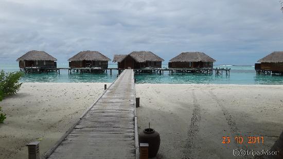 Bungalows on the small island