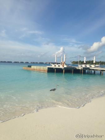 Conrad Maldives Rangali Island