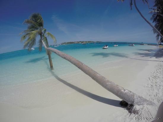 Beach at Conrad Rangali - Maldives