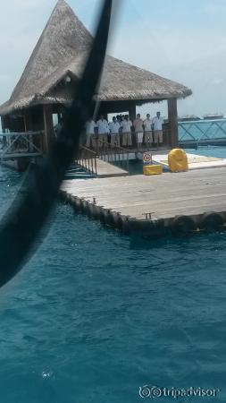 The greeting on arrival!