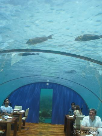 Underwater restaurant