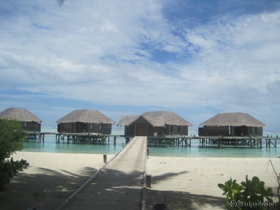 Our water villas
