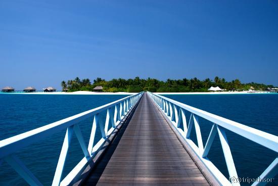Bridge between islands