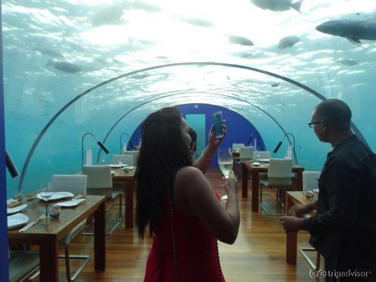 Unterwassrrestaurnat