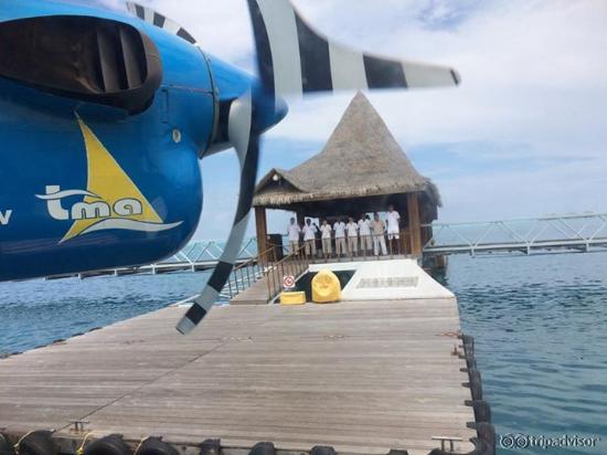 Welcoming committee upon our arrival