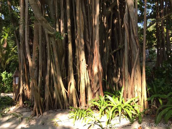вокруг beach villa