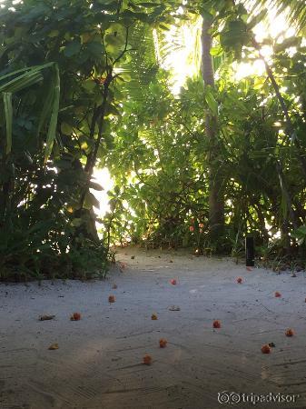 территория