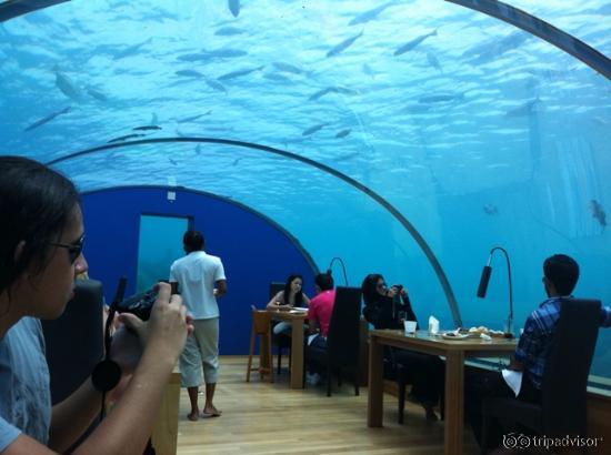 Ithaa - restaurante embaixo d'agua