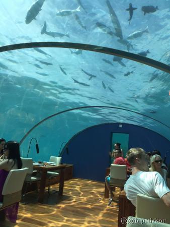 UnderWater Restaurant