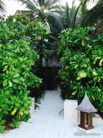 Conrad Maldives Rangali Island