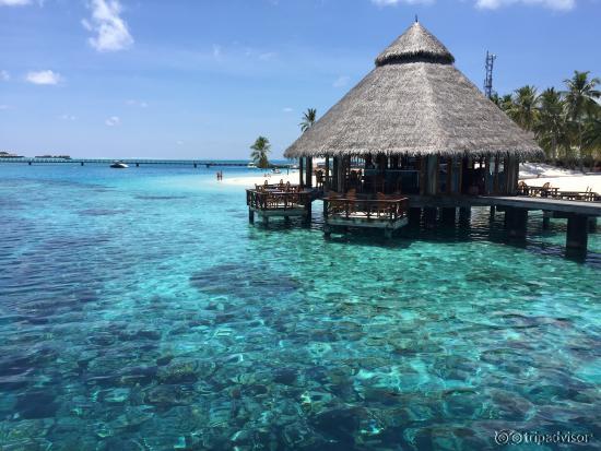 Excellent view taken by my iPhone6+