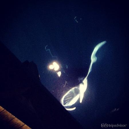 On the way back to room after dinner