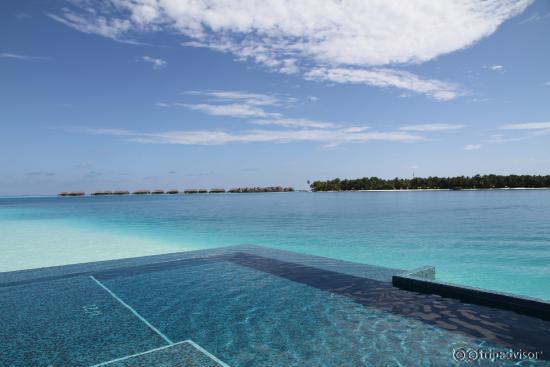 Quiet Zone Pool (no kids allowed)