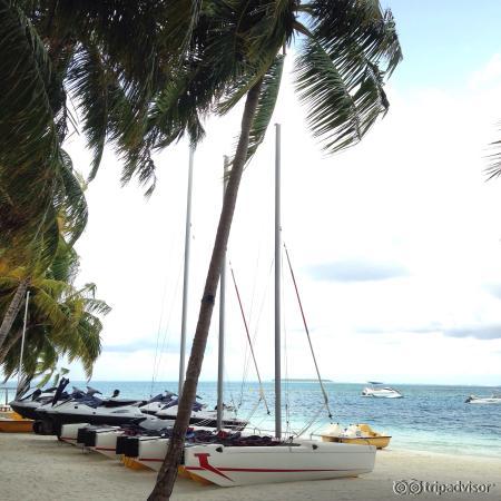 В sanest grill необычная подача салата Цезарь- официанты называют "модерн")