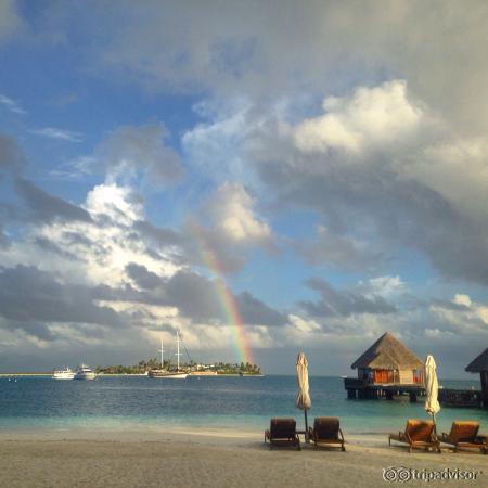 В sanest grill необычная подача салата Цезарь- официанты называют "модерн")