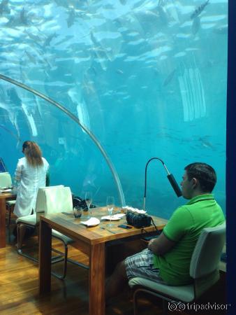 В sanest grill необычная подача салата Цезарь- официанты называют "модерн")