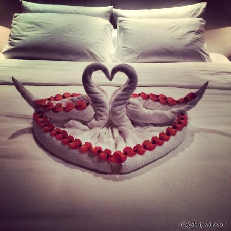 Service du soir pour les chambres ! Magnifique decoration