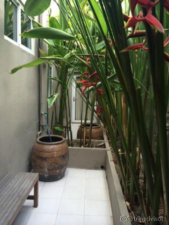 pocket garden@ our terrace