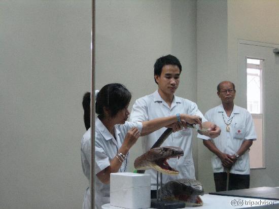 Milking Demonstration