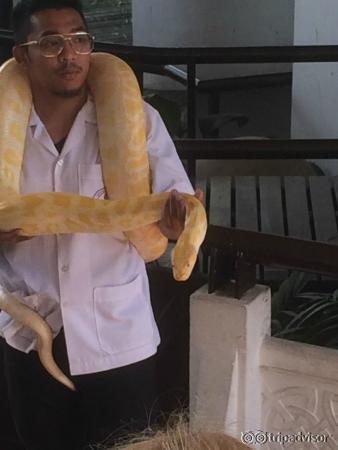 こんな事もできます