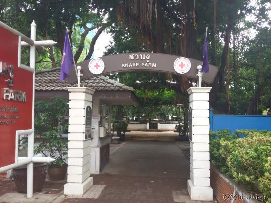 Eingang zur Snakefarm