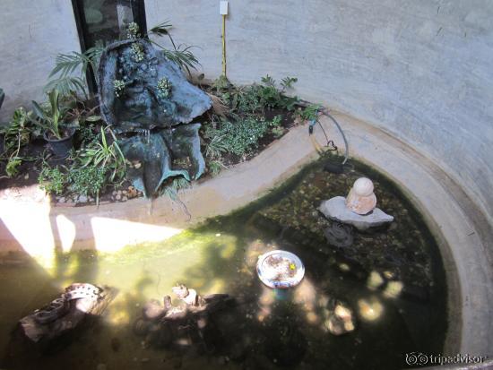 One of the water features for snakes.