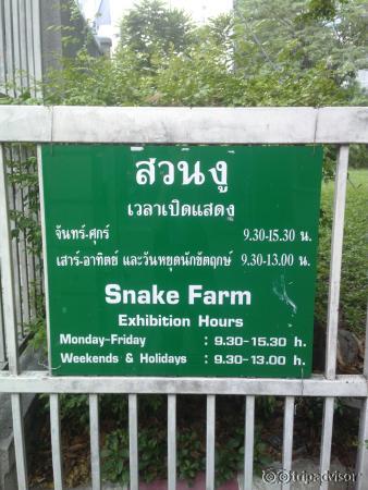 Open hours время работы