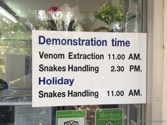 Schedule of the shows. Taken February 2015